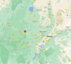 4x250g Café En Grain Bio - Ethiopie Moka Nekemte - CAFES LUGAT -Les Amateurs De Café cafeengraincafeslugatethiopie