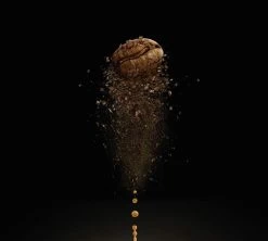 500g Café En Grains Bio - Carte Noire Honduras -Les Amateurs De Café cafeengraincartenoire2