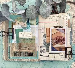 1kg Café En Grain 100% Arabica Moka Bio Ethiopie - DESTINATION 7 1kg Café En Grain 100% Arabica Moka Bio Ethiopie - DESTINATION -Les Amateurs De Café cafeengraindestinationmarque