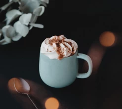 Mug Terra Sauge - 33 Cl - PYLANO -Les Amateurs De Café pylano tasse terra lifestyle