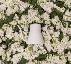 Bouilloire Traditionnelle Stagg Blanc 1 L Col De Cygne - FELLOW -Les Amateurs De Café stagblc fleur